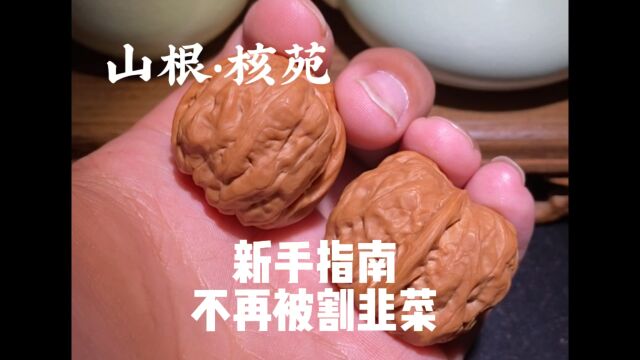 文玩核桃新手指南!