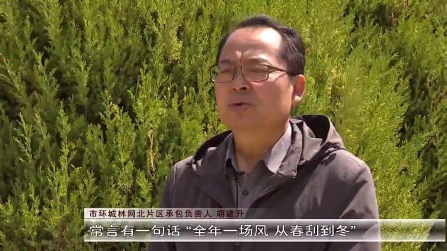 玉门:持续增绿 绘就生态文明新画卷