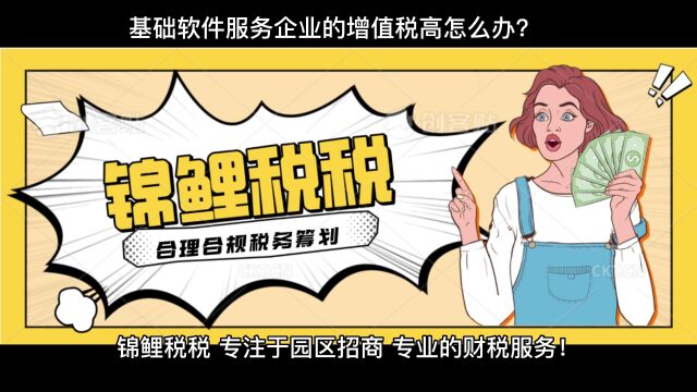 基础软件服务企业的增值税高怎么办?