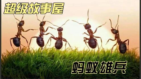 【超级故事屋】蚂蚁雄兵 阿土哥想到了什么方法，使大家逃离火海