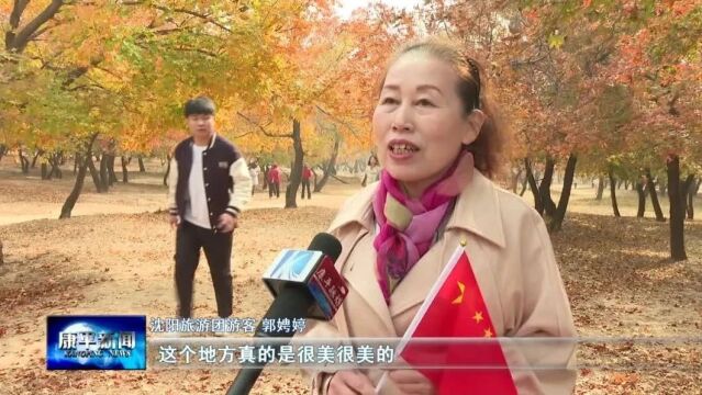 好“枫”凭借力 文旅融合助振兴