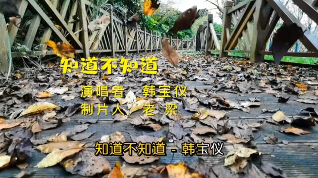 一首韩宝仪原唱老歌《知道不知道》,喜欢的朋友们别忘了分享哦!