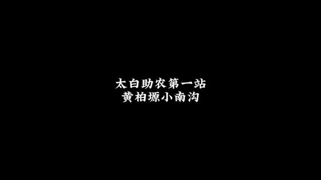 我只是助力乡村振兴的宣传者!背后千千万万的您才是助农的主人!感谢大家的监督指正#助力乡村振兴 #秦岭土蜂蜜