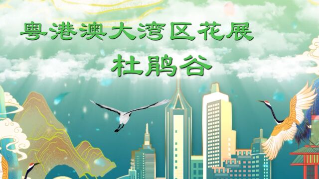 2023粤港澳大湾区花展——杜鹃谷