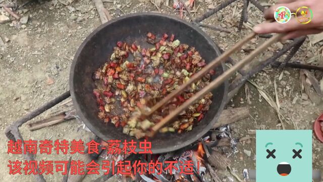 越南奇特美食荔枝虫,该视频可能会引起你的不适!