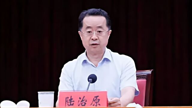 陆治原已任民政部党组书记