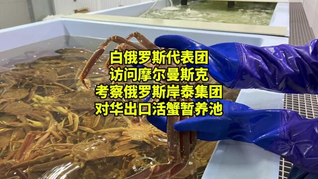 白俄罗斯代表团访问摩尔曼斯克,考察岸泰集团对华出口活蟹暂养池