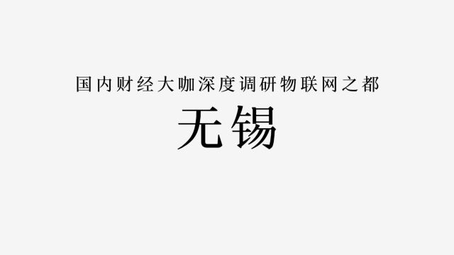 国内财经大咖深度调研物联网之都无锡