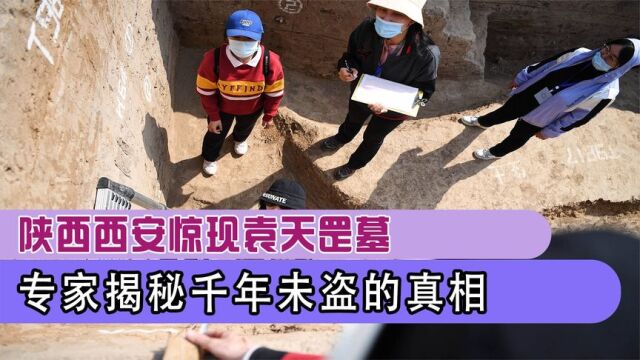 陕西西安出土袁天罡墓,墓中保存完好无人敢盗,专家:内藏玄机