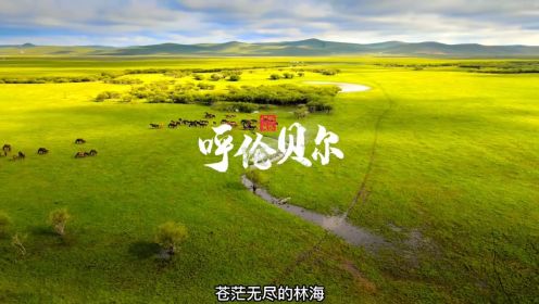 内蒙古-呼伦贝尔：这里有最美的草原，也是马背上的民族发祥地！
