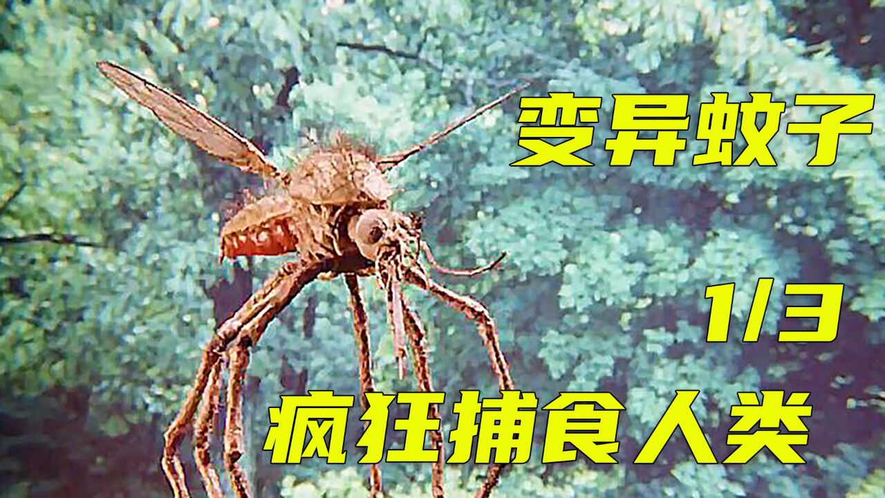 巨蚊之灾精彩速看_高清1080P在线观看平台_腾讯视频