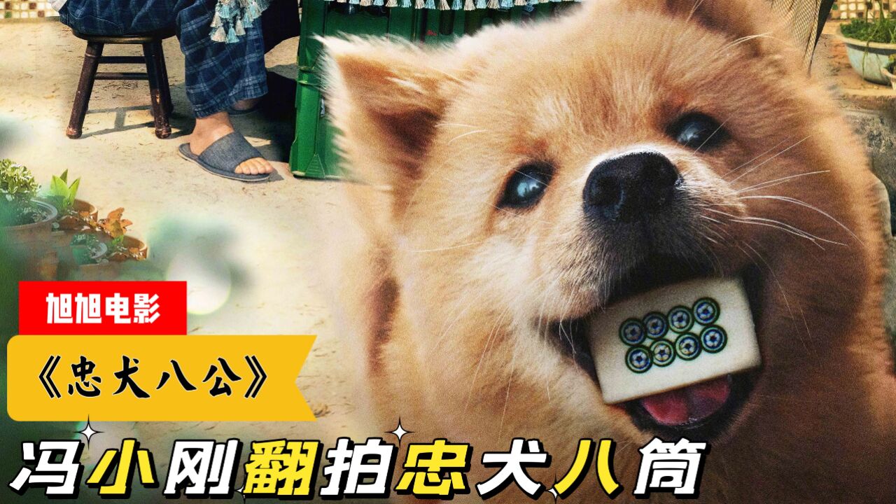 《忠犬八公》冯小刚翻拍催泪大片,国产土狗也能这么感人?_高清1080P在线观看平台_腾讯视频