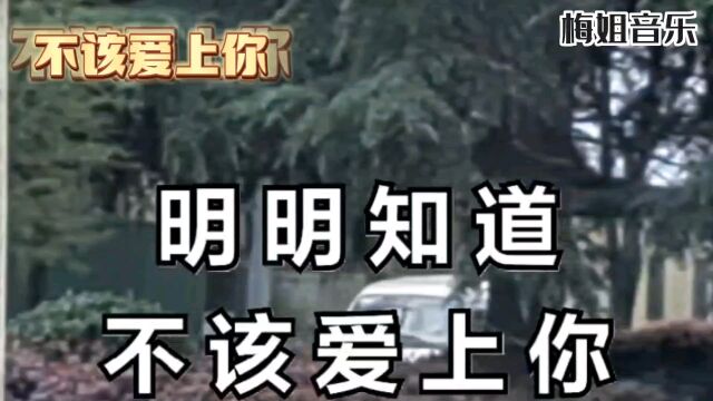 明明知道不该上你,千言万语无从说起