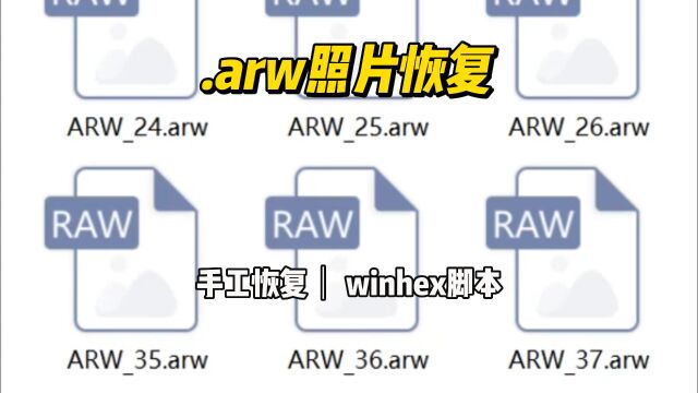 winhex脚本恢复索尼arw照片,数据恢复陈楠