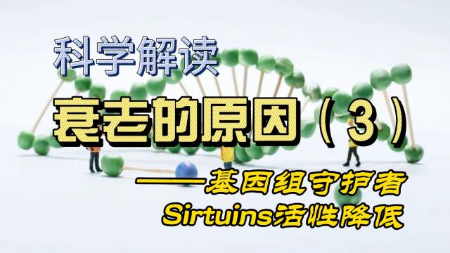 科学解读衰老的原因(3)——基因组守护者Sirtuins活性降低