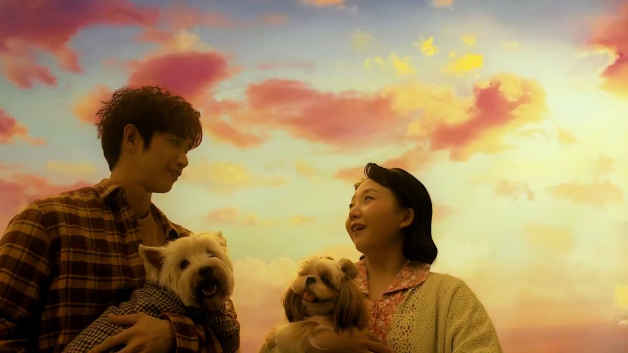 爱犬奇缘:颜值天团携手王牌萌宠,呈现梦幻爱情!