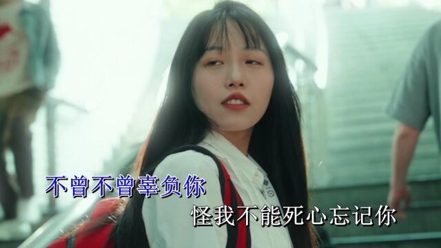 陈建良不曾辜负你 KTV(启飞七仙女)