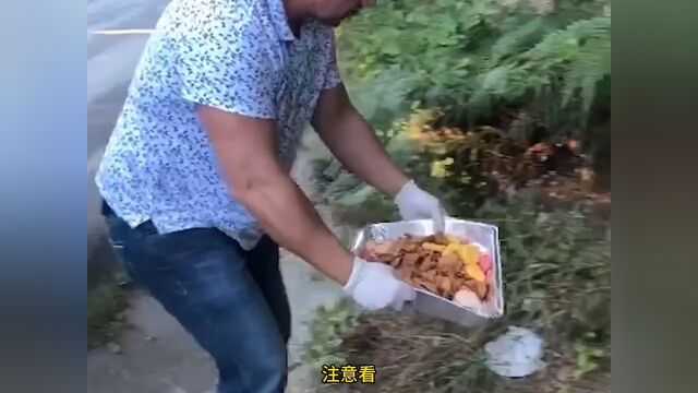 传递正能量.