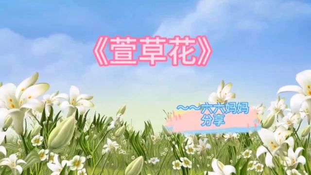 童声版《萱草花》一首好听的歌曲,分享给大家,谢谢