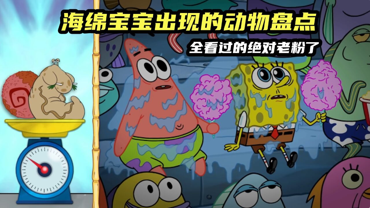 海绵宝宝里出现的动物合集盘点