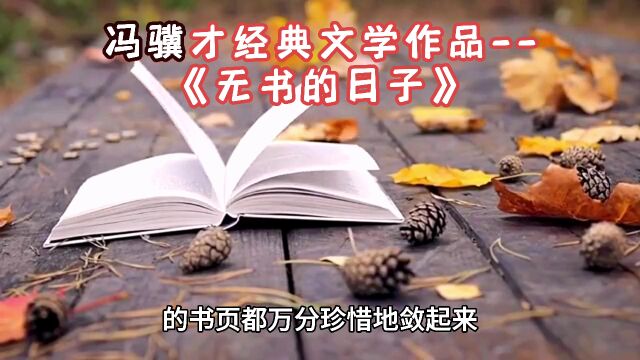 冯骥才:无书的日子 你出外旅行,在某个僻远的小镇住进一家小店,赶上天阴落雨,这该死的连绵的雨把你闷在屋里. 你拉开提包锁链,呀,糟糕之极! 竟...