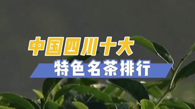 你知道原来四川有这么多特色名茶吗? #四川 #特产 #茶