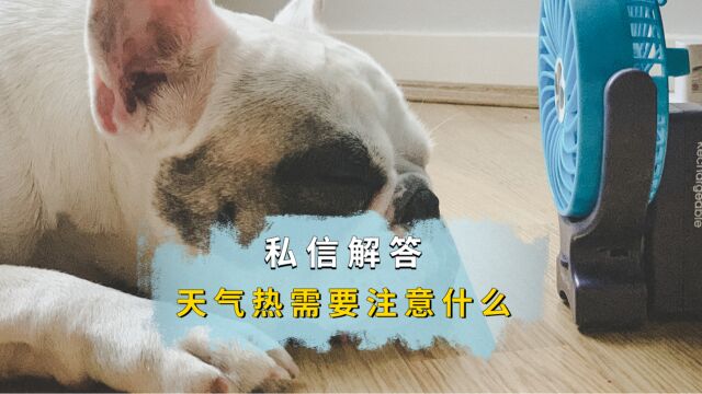 私信解答,天气热需要注意什么