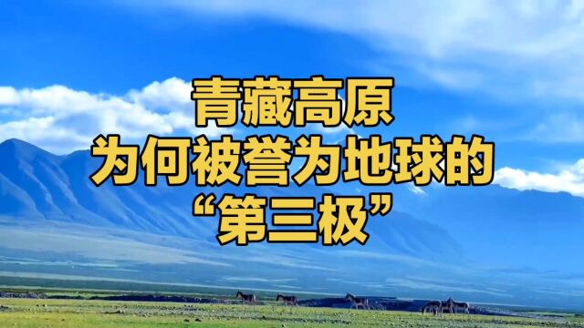 青藏高原,为何被誉为地球的第三极?