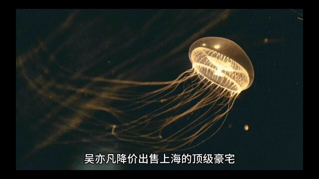 吴亦凡在上海的顶级豪宅降价3千万出售