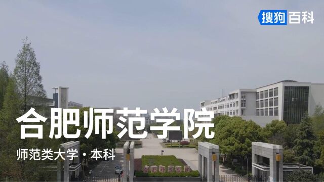 合肥师范学院:爱满天下,知行合一