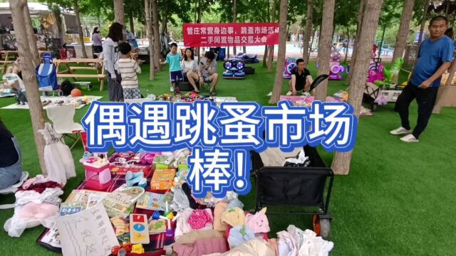 逛公园偶遇跳蚤市场,各种玩具都有还有芦丁鸡卖