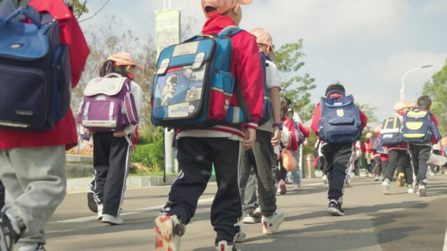 红星路小学富康校区 禾风植物语 社会实践活动