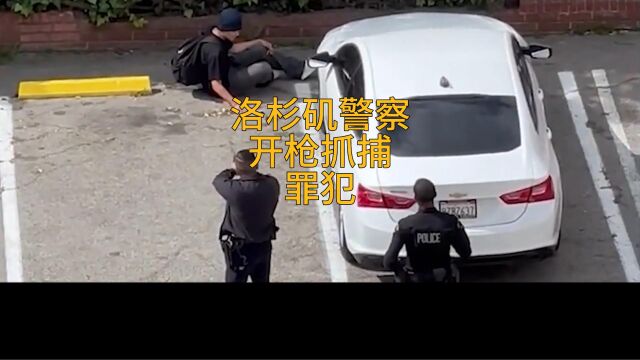 洛杉矶警察开枪抓捕罪犯