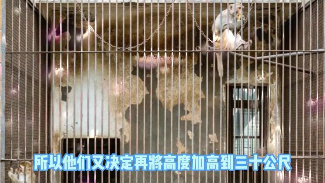 成长故事系列㉛从根本解决而不是简单地在表面掩盖它