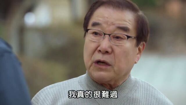 女人在经历了三次失败的婚姻后,决定靠自己活下去 好剧推荐 韩剧推荐