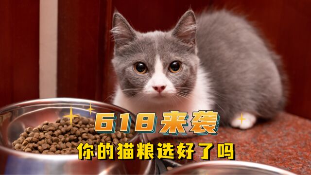 618来袭!你的猫粮选好了吗?