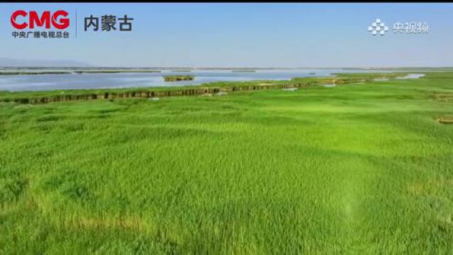 赞!呼市检察院航拍摄影作品《夏日哈素海风光旖旎 碧水如镜》在央视频展出