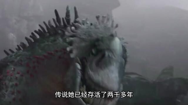 驯龙宝典红死神篇 #红死神