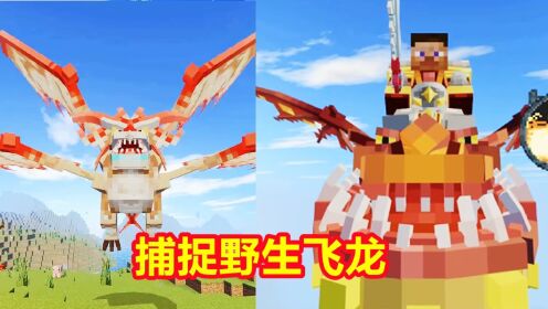 我的世界驯龙生存12：捕捉野生大飞龙，体验龙王入侵时间_高清1080P在线观看平台_腾讯视频
