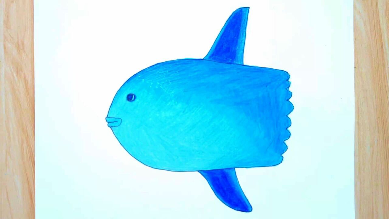 彩铅画,怎样绘画翻车鱼