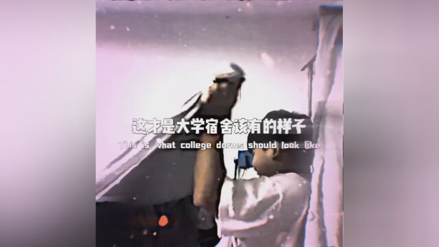 这才是大学该有的样子