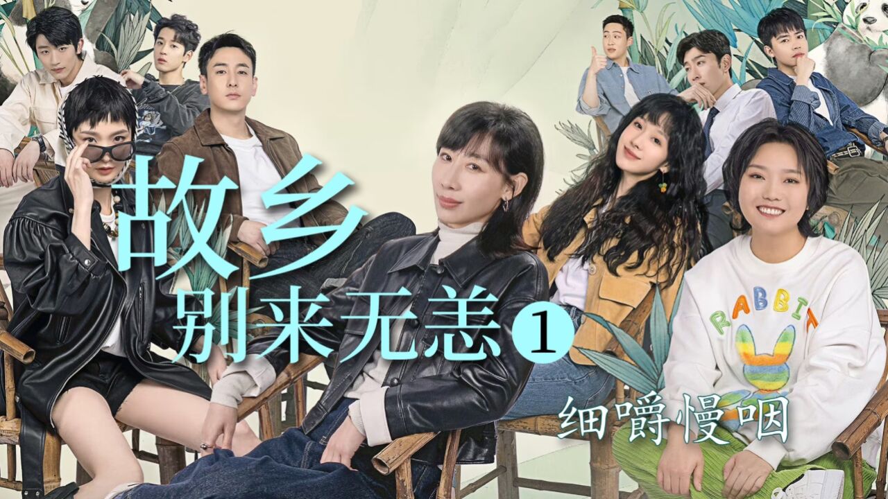 《故乡,别来无恙》细嚼慢咽01:还未开播就几百万预约,四位女主个个