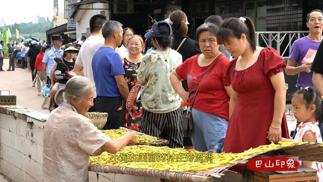 四川渠县:莫道农家无宝玉 遍地黄花是金针 望江黄花艺术节掠影