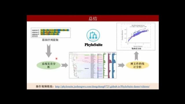 iMeta | 高被引分子系统发育树分析教程PhyloSuite