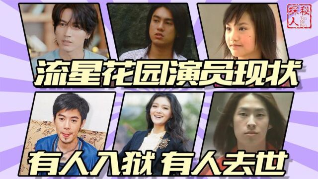 《流星花园》8位主演现状:有人入狱有人离世,混得一个不如一个