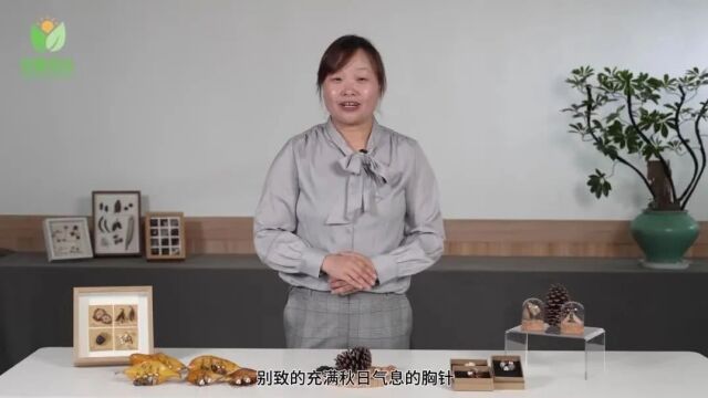 DIY一枚种子胸针,打造小众秋日穿搭美学