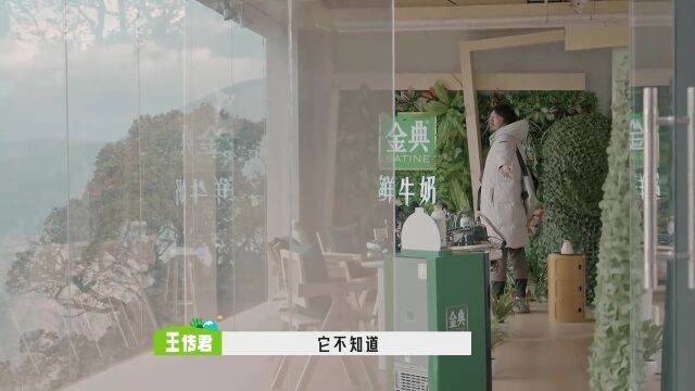 五十公里桃花坞