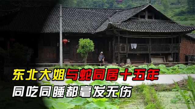 东北大姐与蛇同居15年,同吃同睡都安然无恙,难道蛇也认主人?