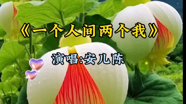 《一个人间两个我》演唱:安儿陈