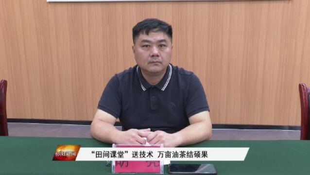 “田间课堂”送技术 万亩油茶结硕果